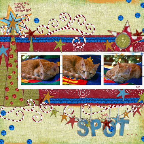 Your Spot