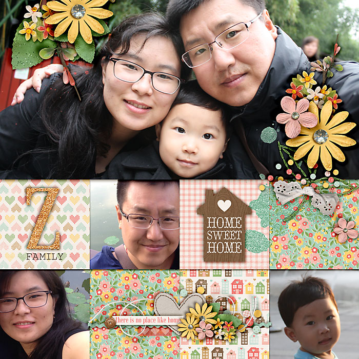 Z family