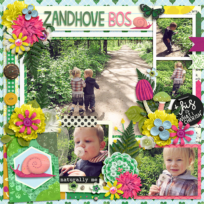 Zandhove woods2