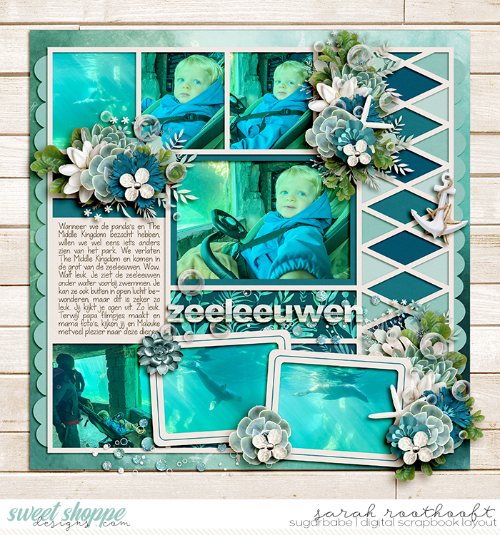 Zeeleeuwen