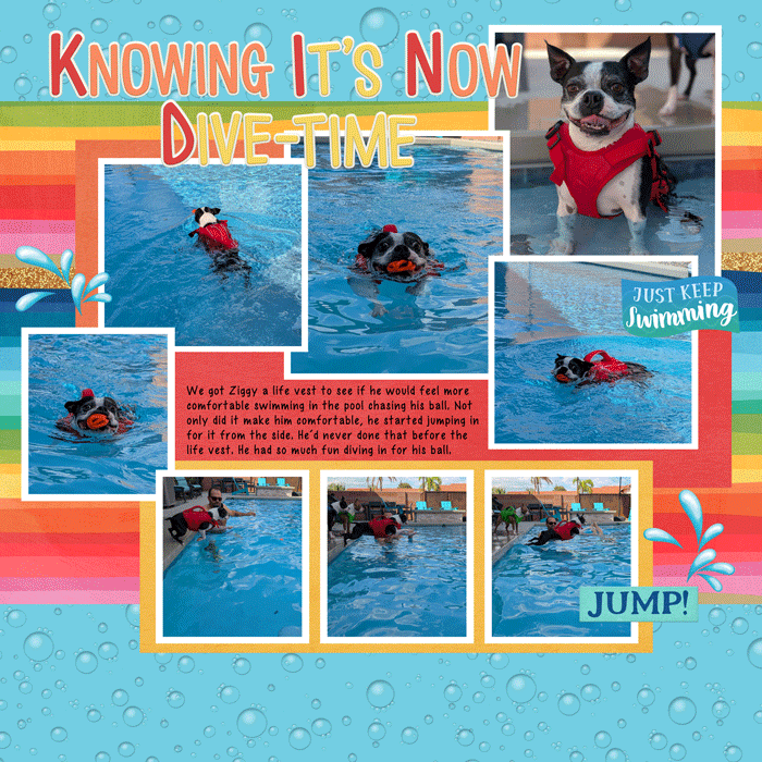 Ziggy-Diving-In