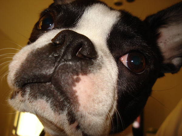 Zoey