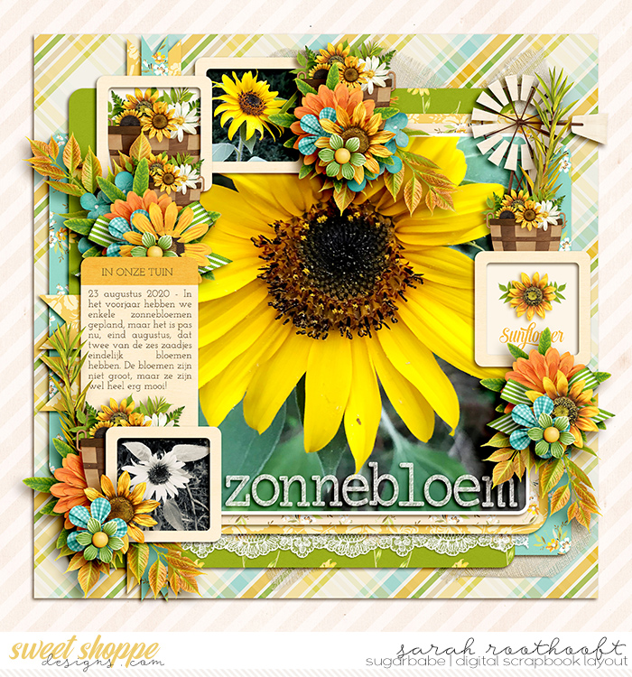 Zonnebloem