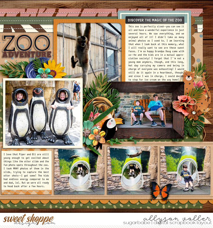 Zoo Adventure right