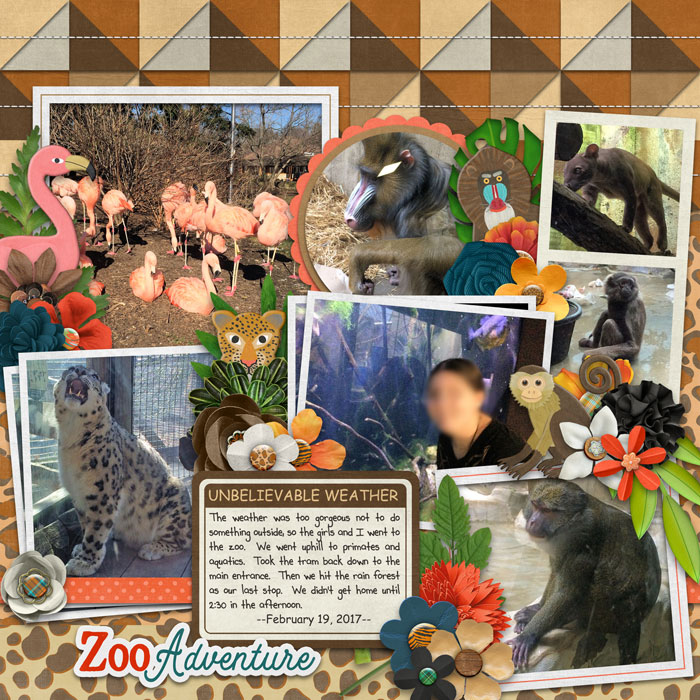 Zoo Adventure
