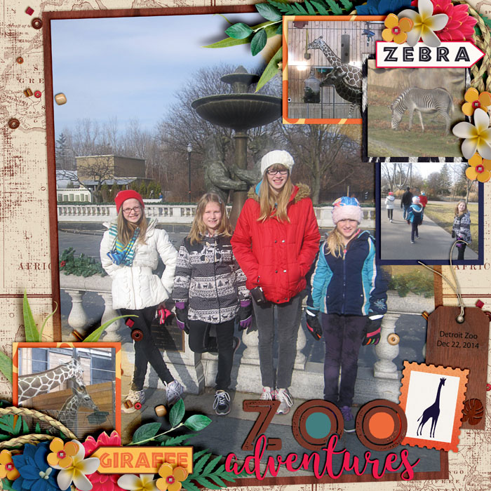 Zoo Adventures