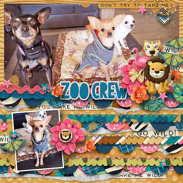 Zoo Crew