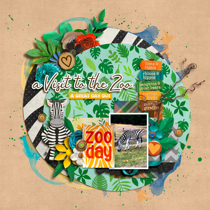 Zoo day