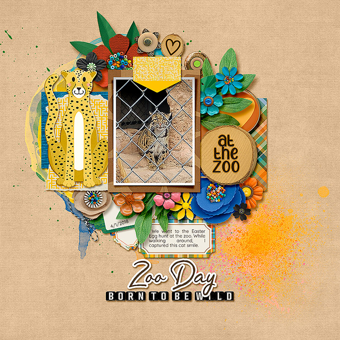 Zoo Day