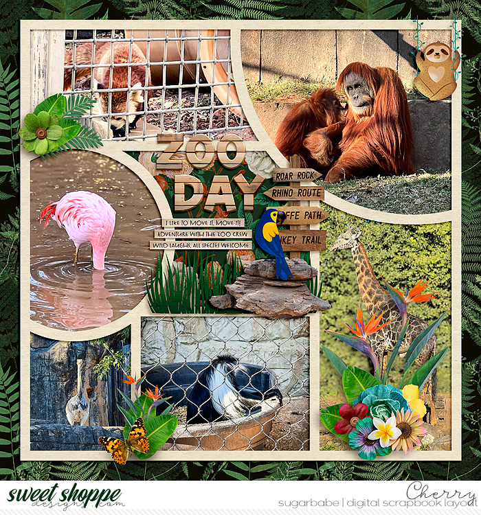 Zoo Day