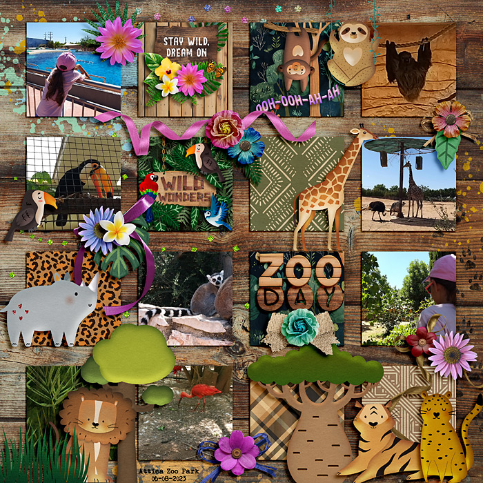 Zoo day