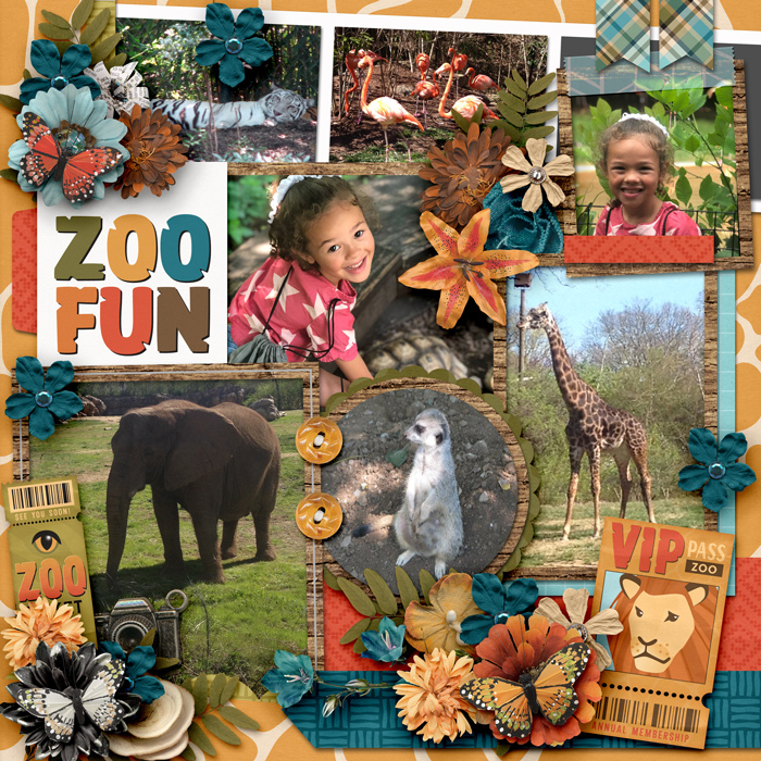 Zoo Fun