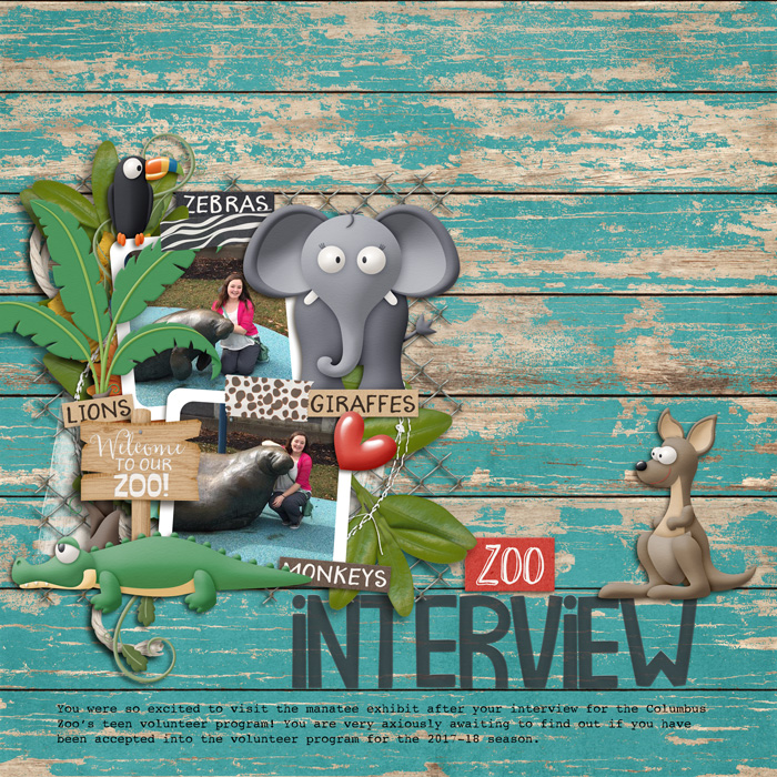 Zoo Interview