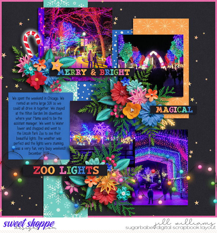 Zoo Lights Lincoln Park Zoo