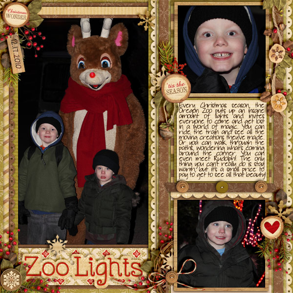 Zoo Lights