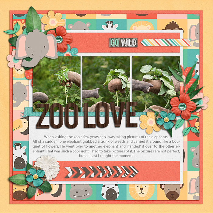 Zoo Love