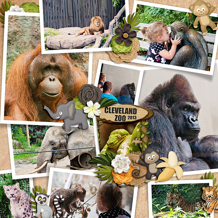 Zoo