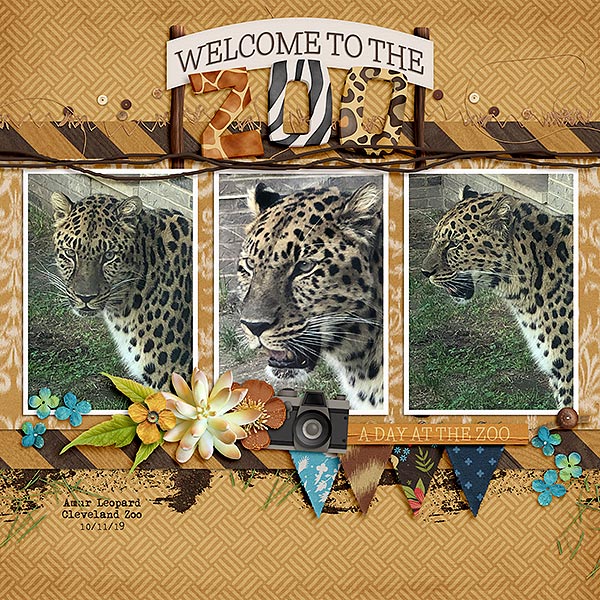 zoo