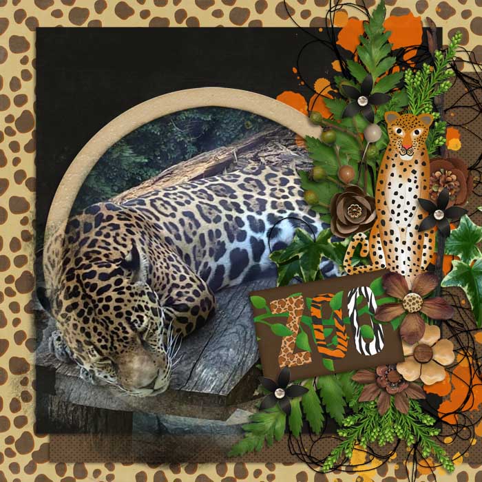 Zoo