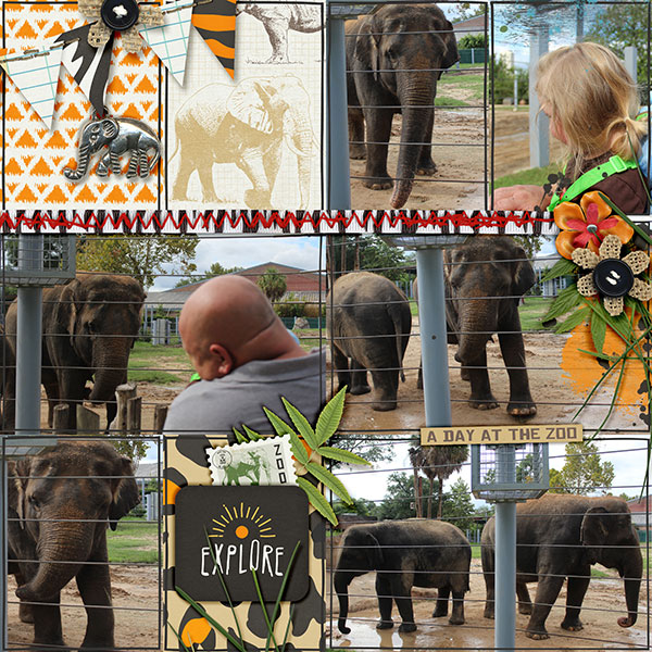 zoo2017 page 2