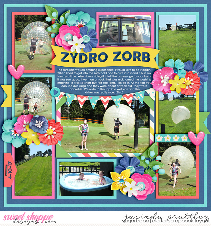 Zydro Zorb