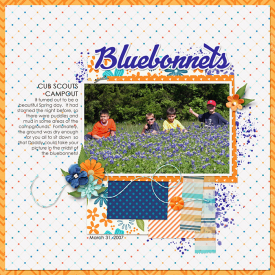 20070331-Bluebonnets.jpg
